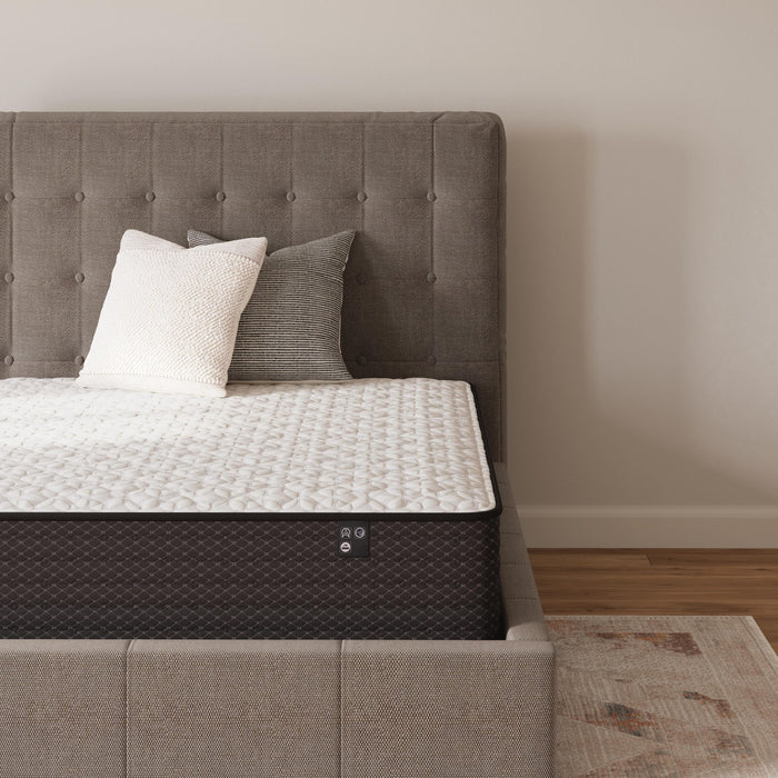 Limited Edition Firm Queen Mattress