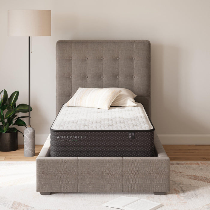 Limited Edition Plush Twin Mattress