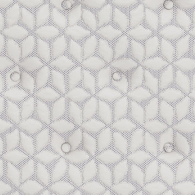 Limited Edition PT Mattress