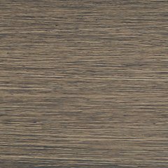 Rainier Ranch Outdoor Arm Chair with Cushion