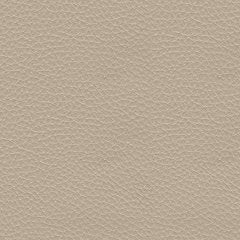 Pisgham Power Recliner