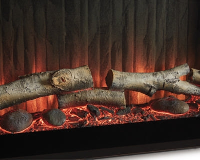 Entertainment Accessories Fireplace Insert